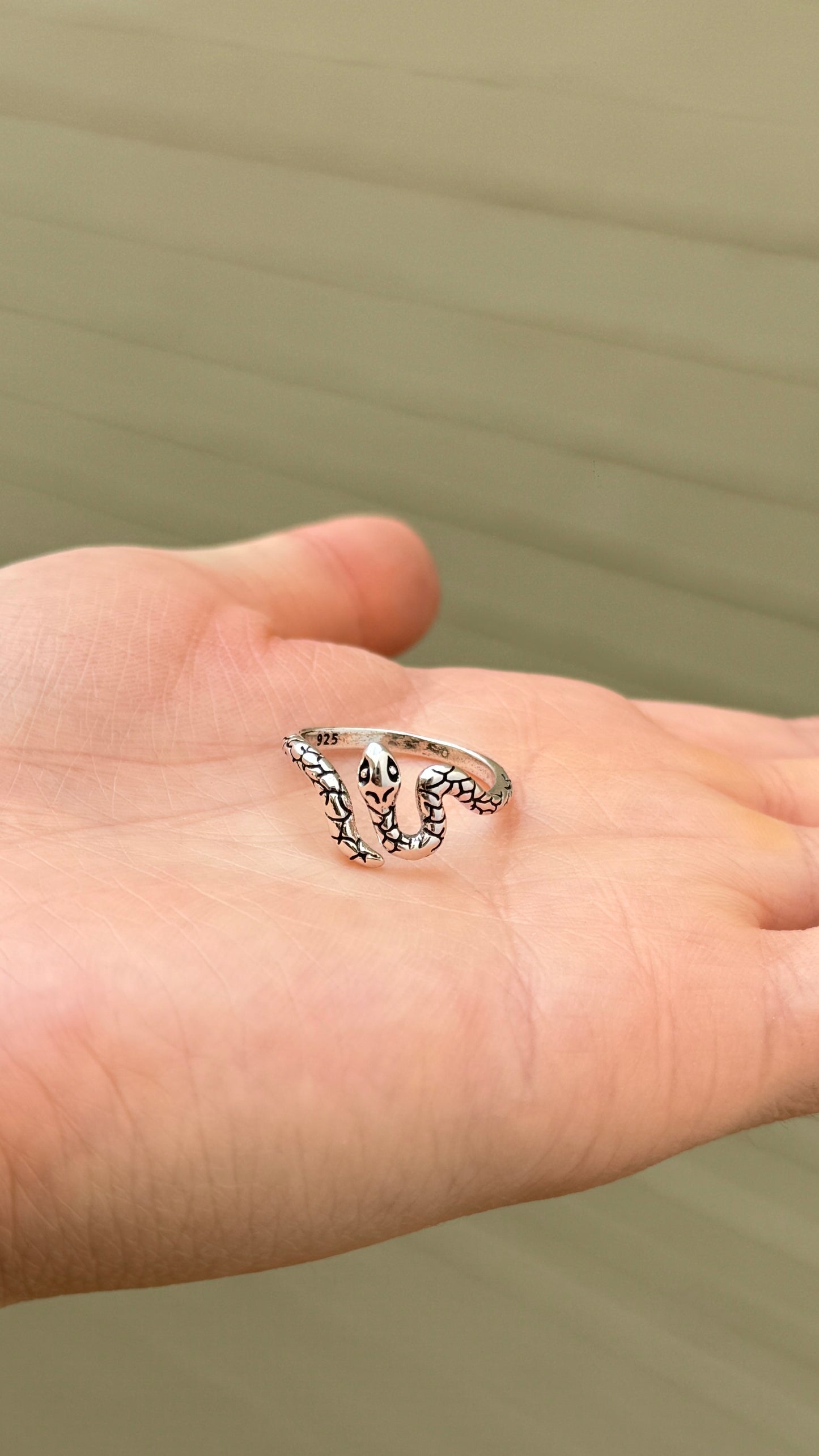 Anillo Víbora Plata