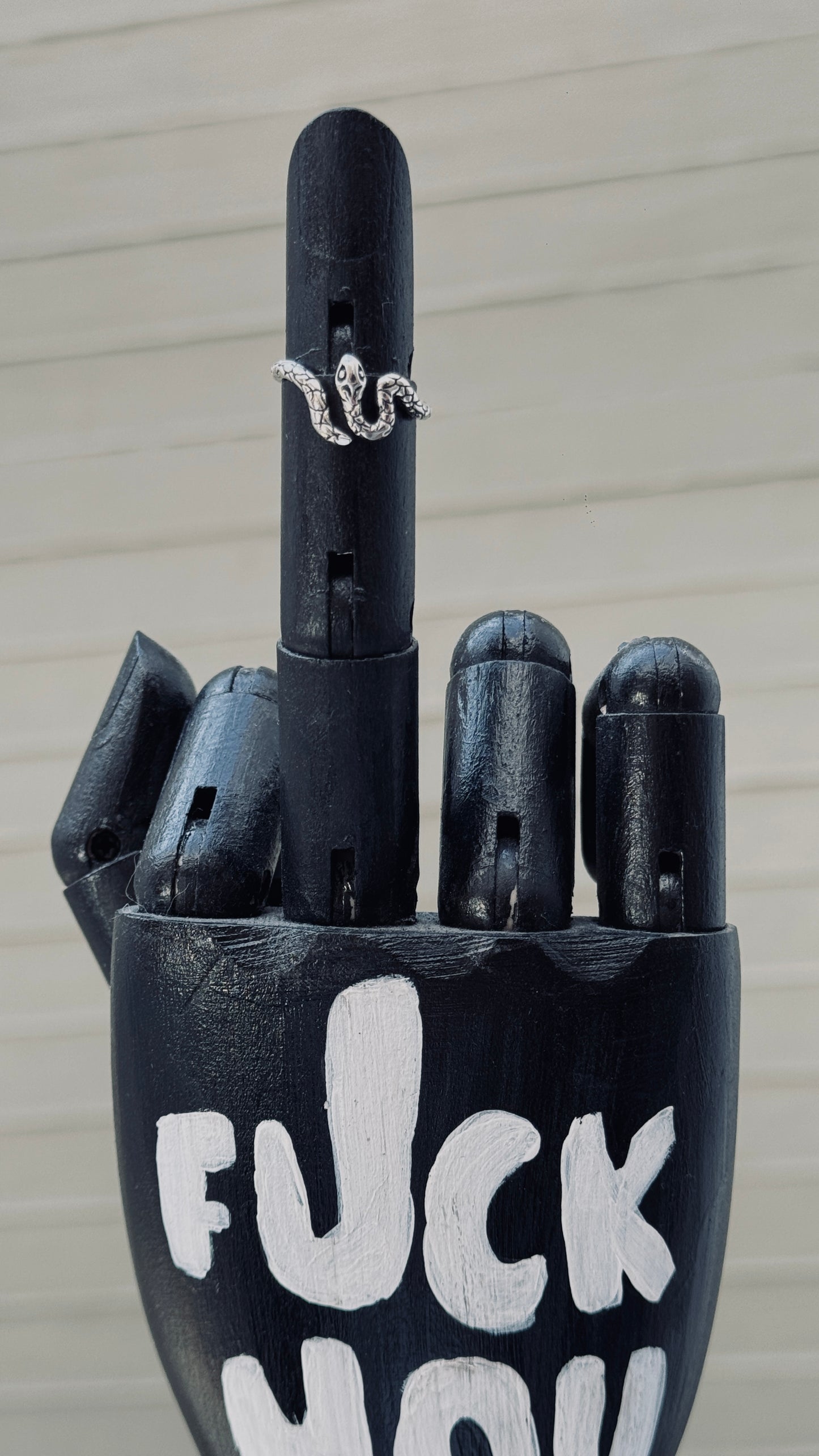 Anillo Víbora Plata
