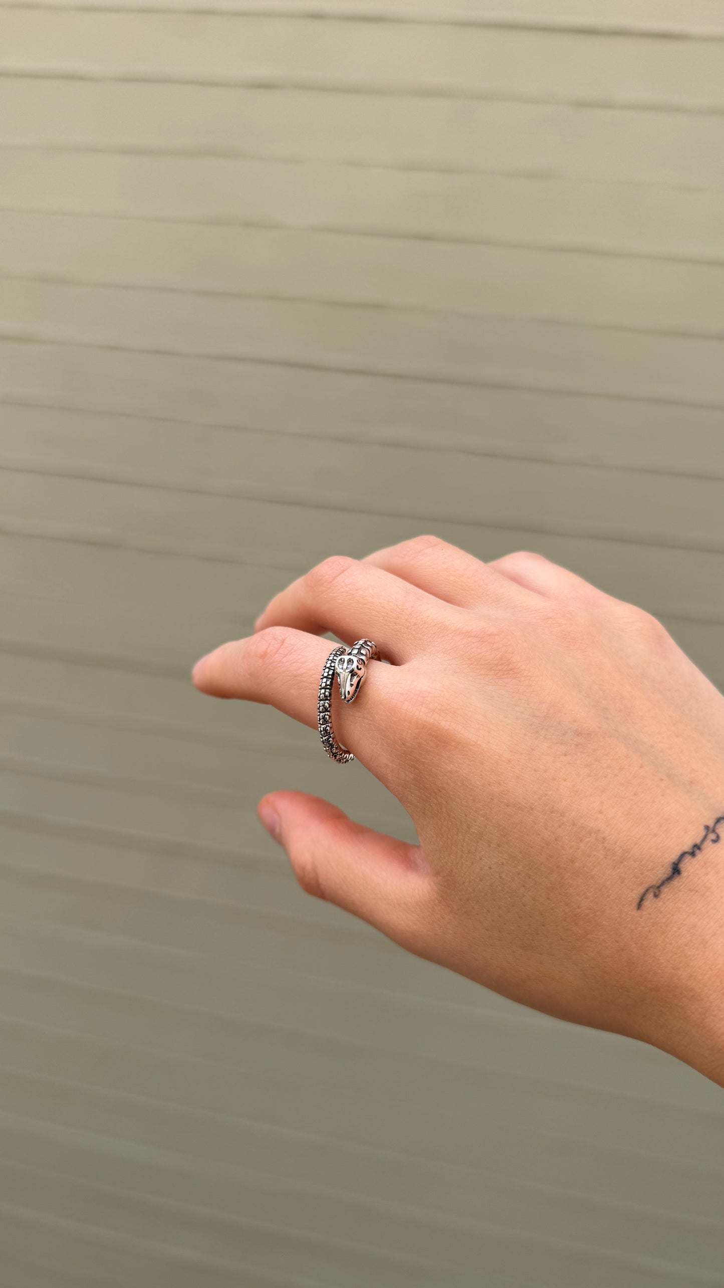 Anillo Dino Plata