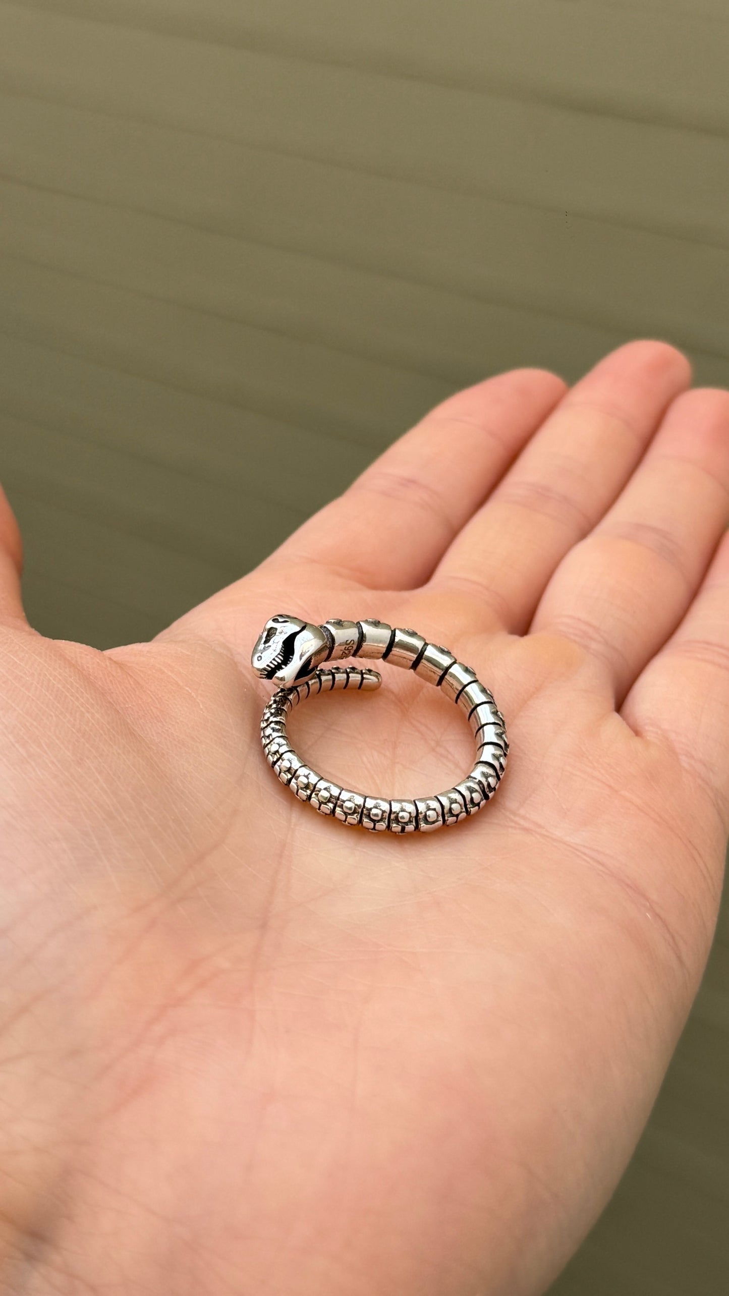 Anillo Dino Plata