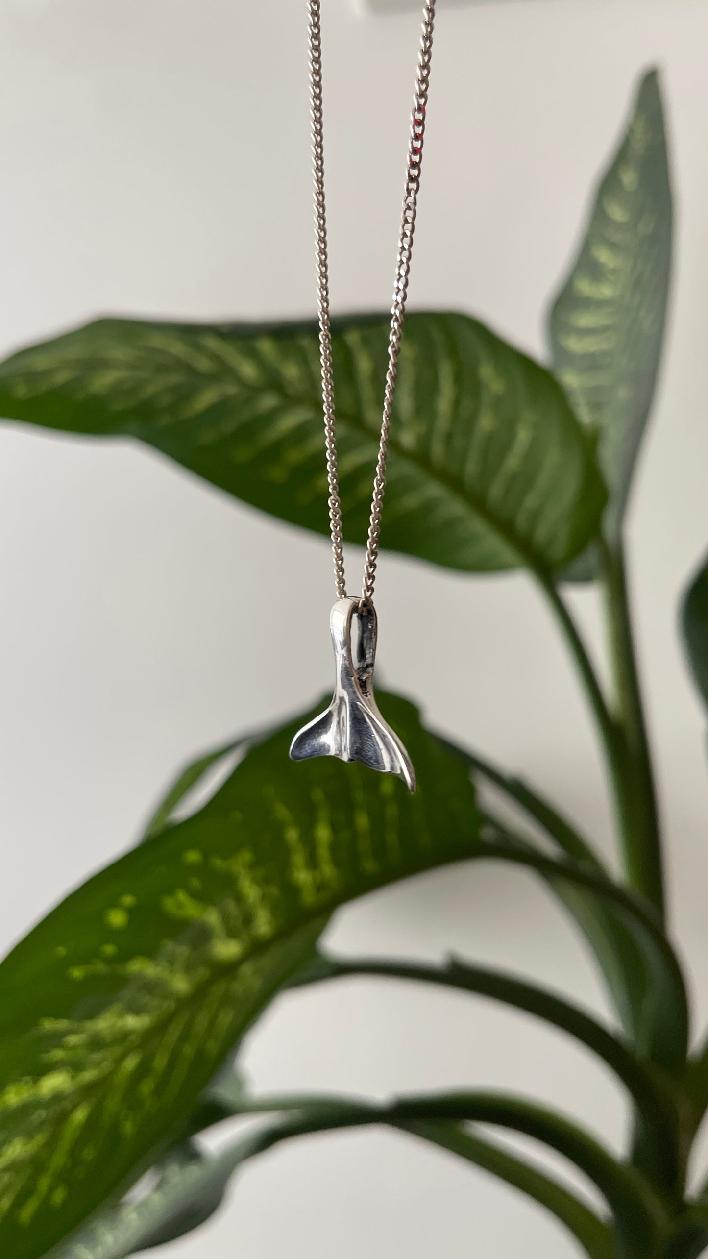 Collar aleta plata