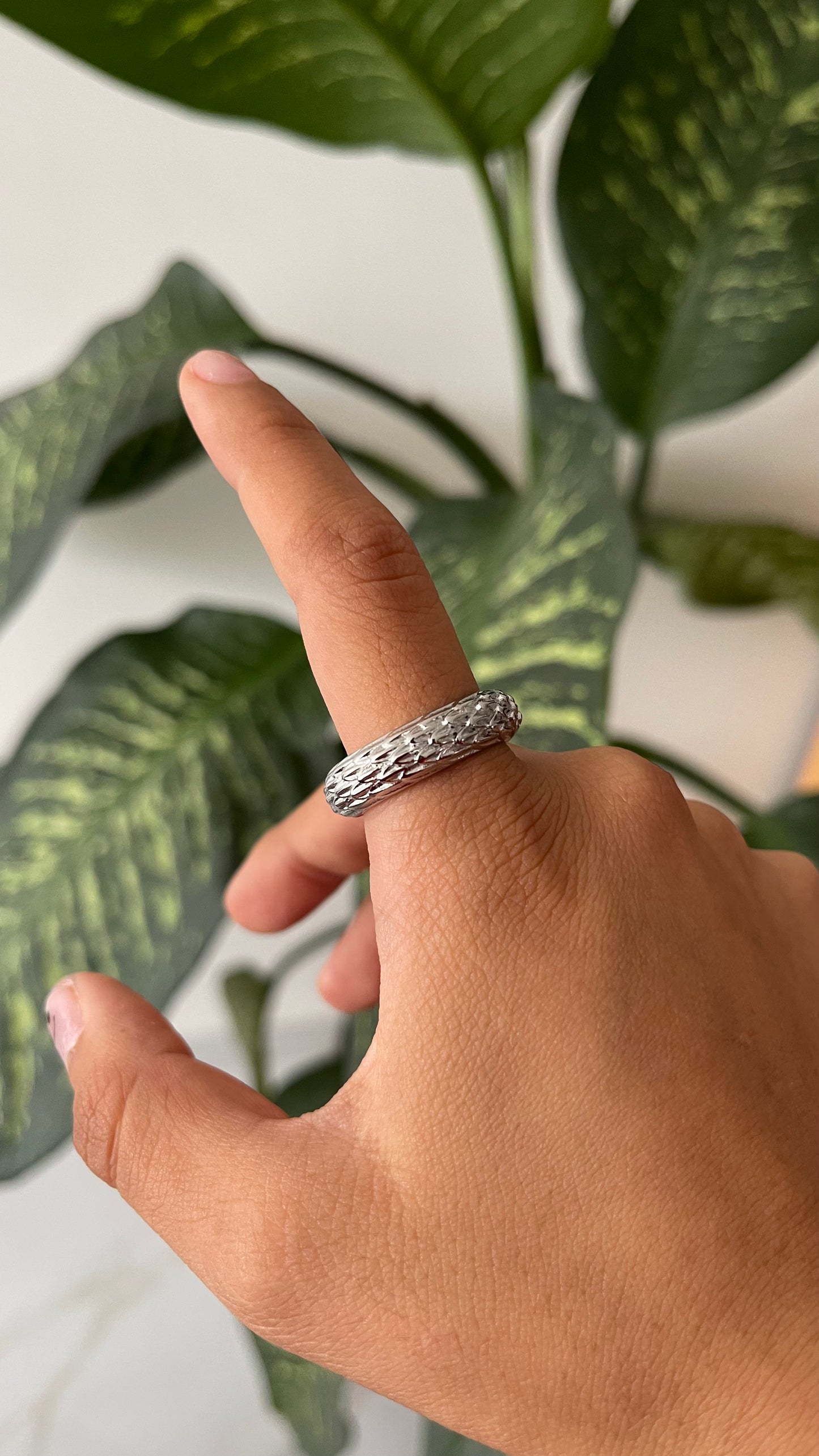 Anillo Alas