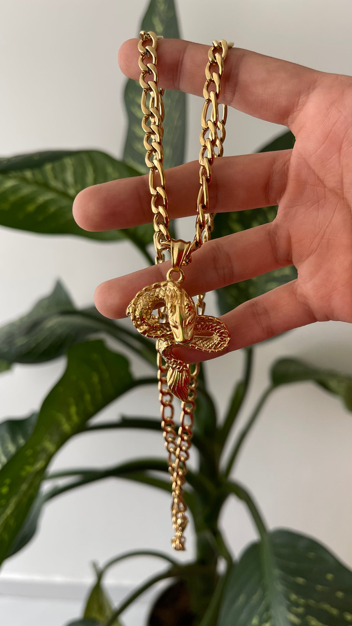Collar Dragón
