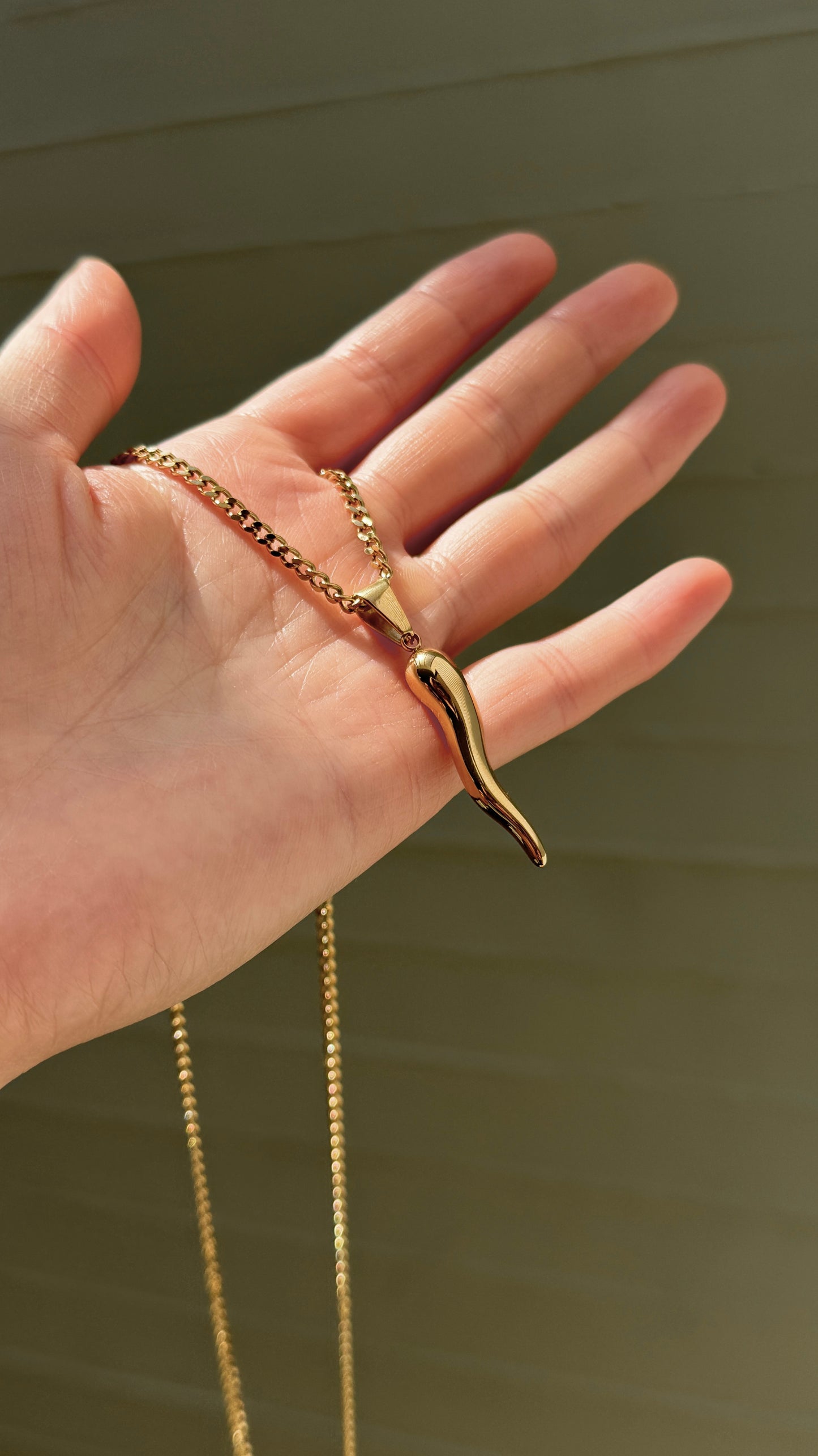 Collar Cuerno