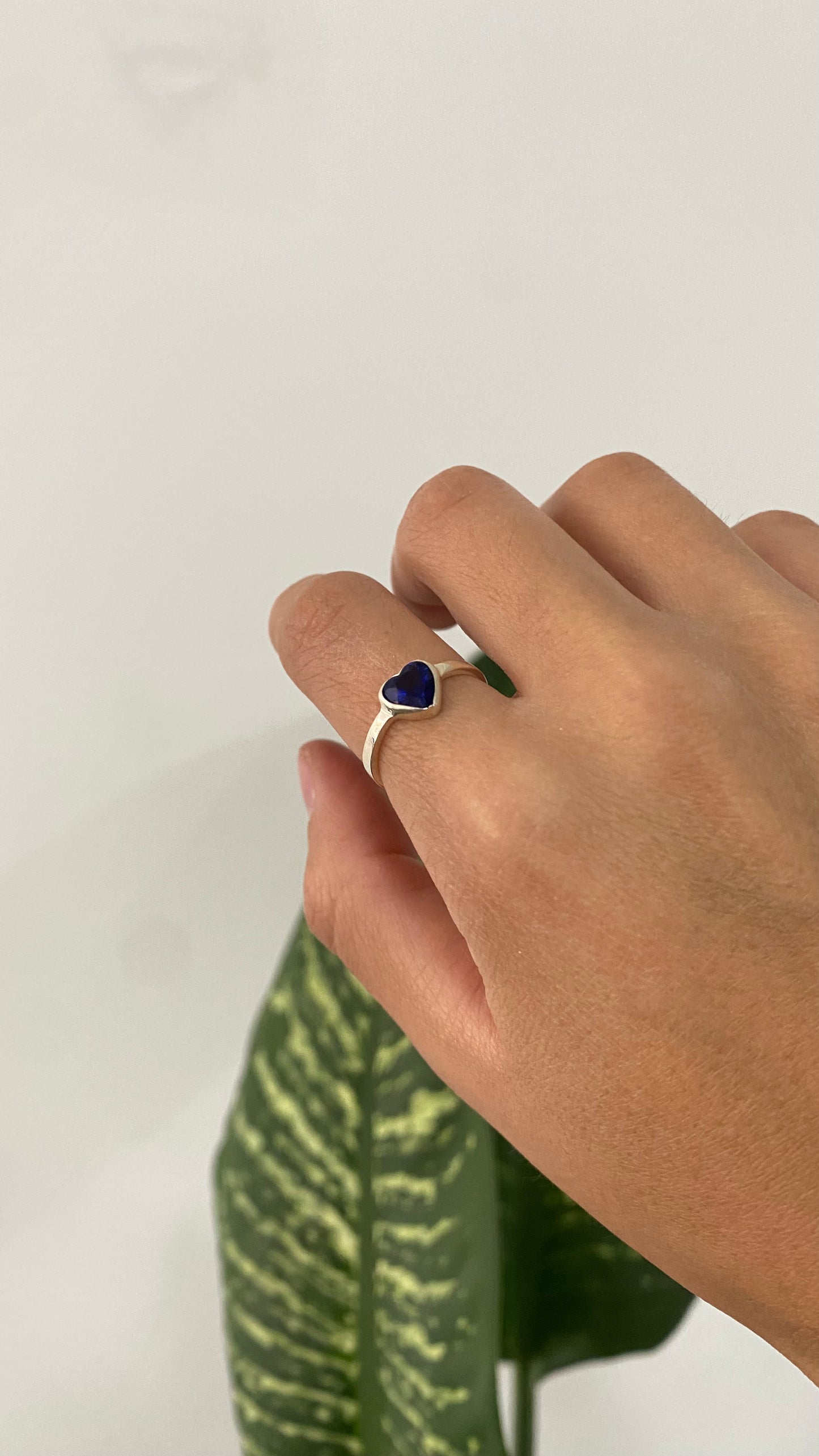Anillos Promesa Plata