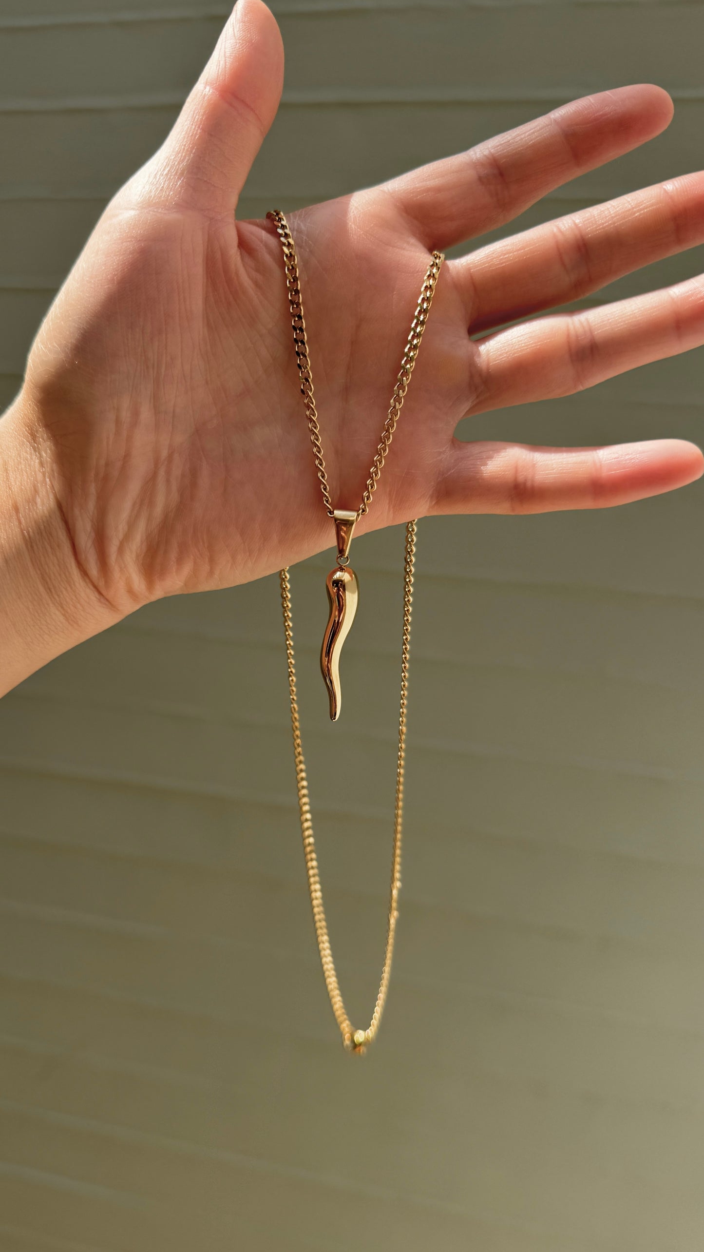 Collar Cuerno