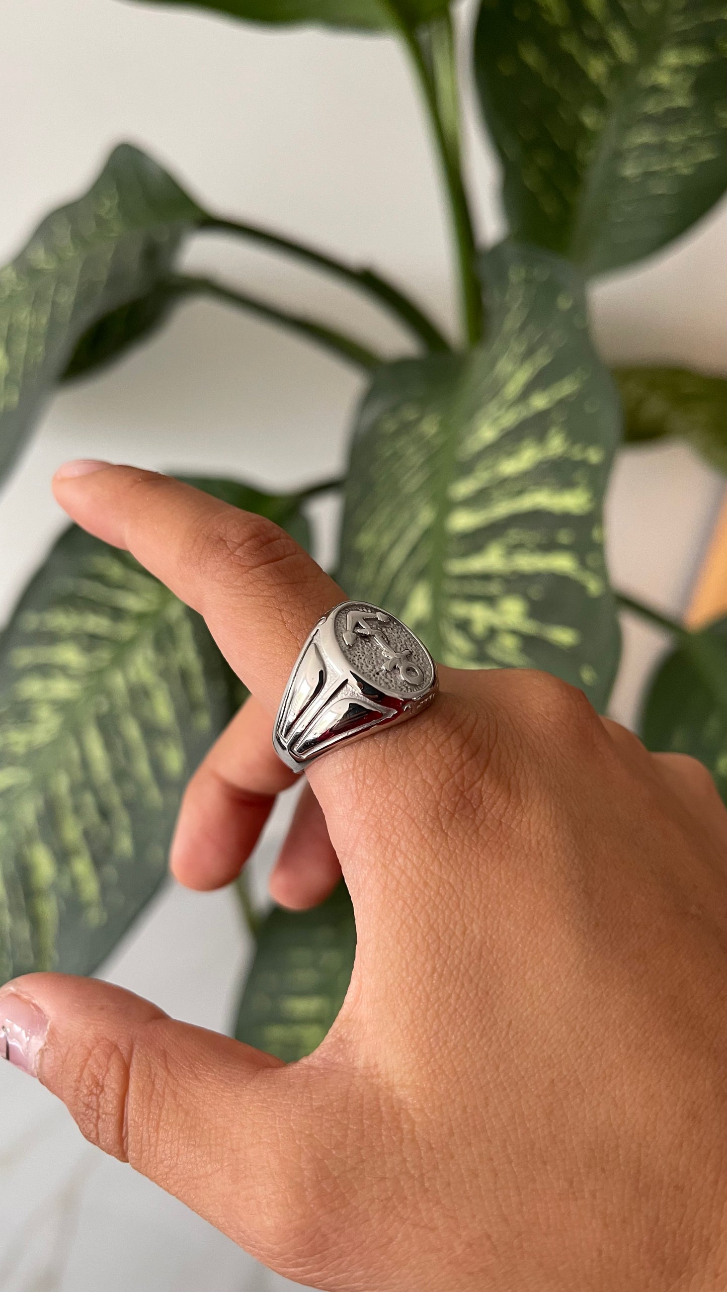 Anillo Ancla