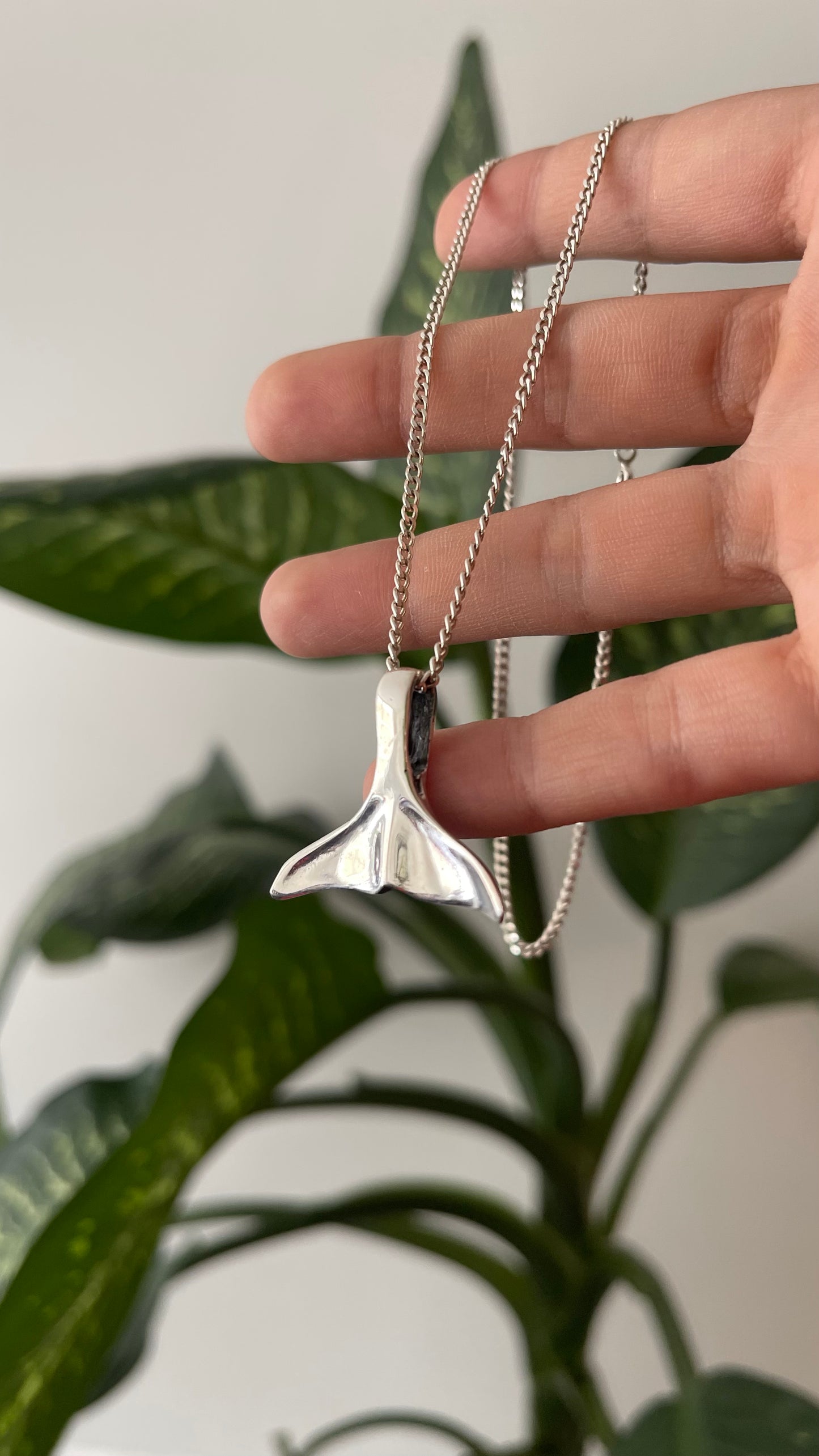 Collar aleta plata