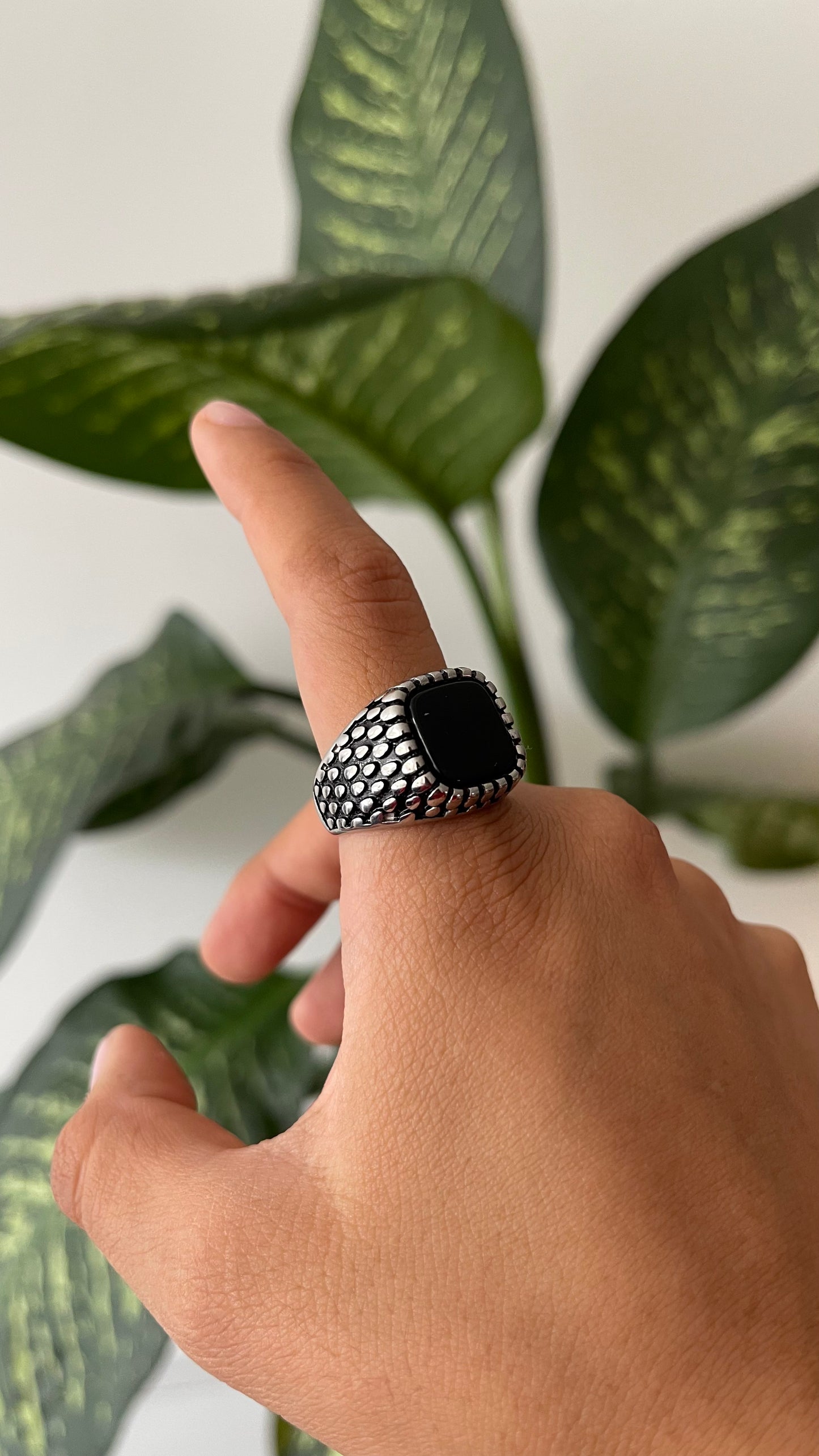 Anillo Punta Negra