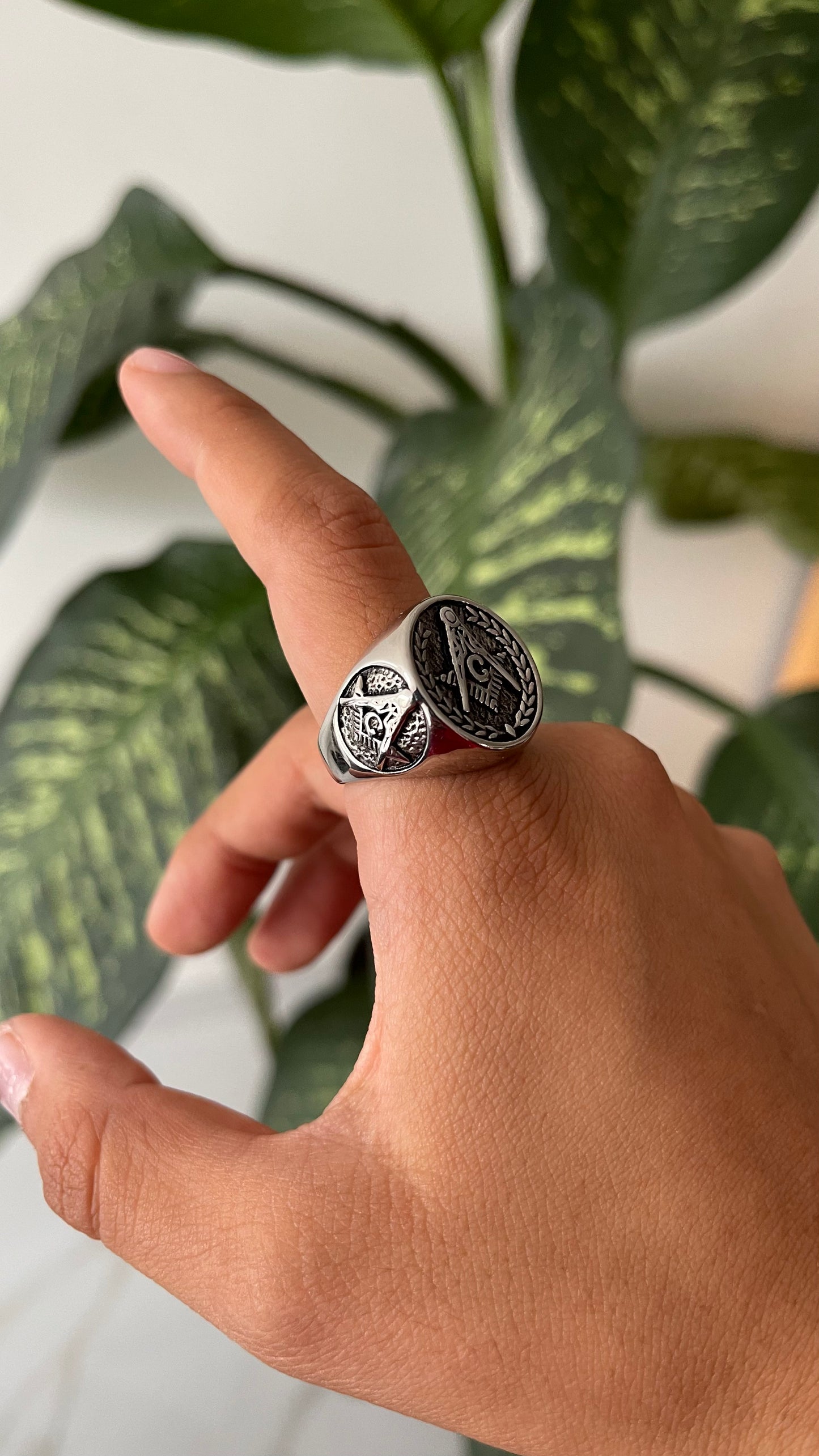 Anillo V
