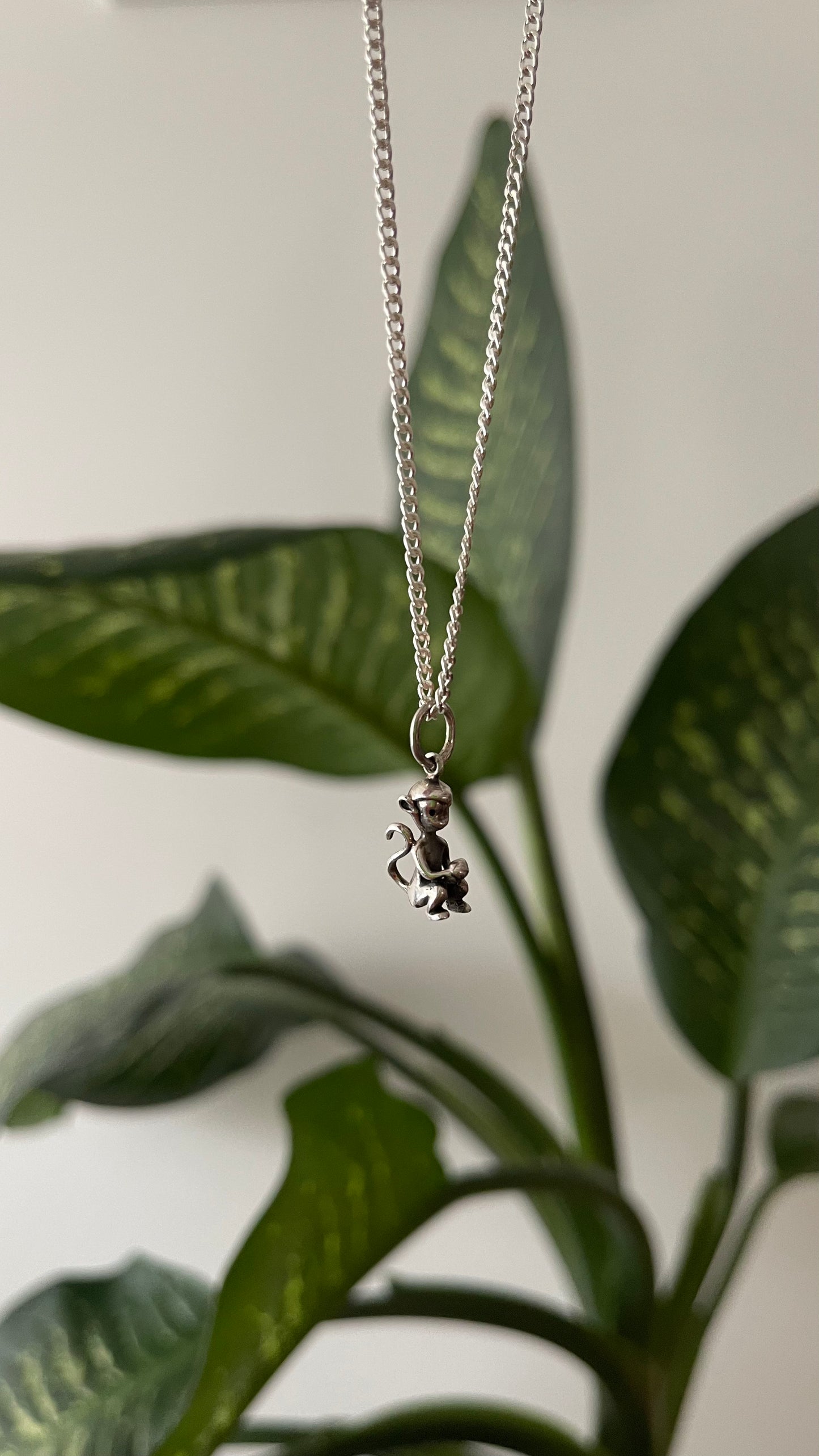 Collar monkey plata