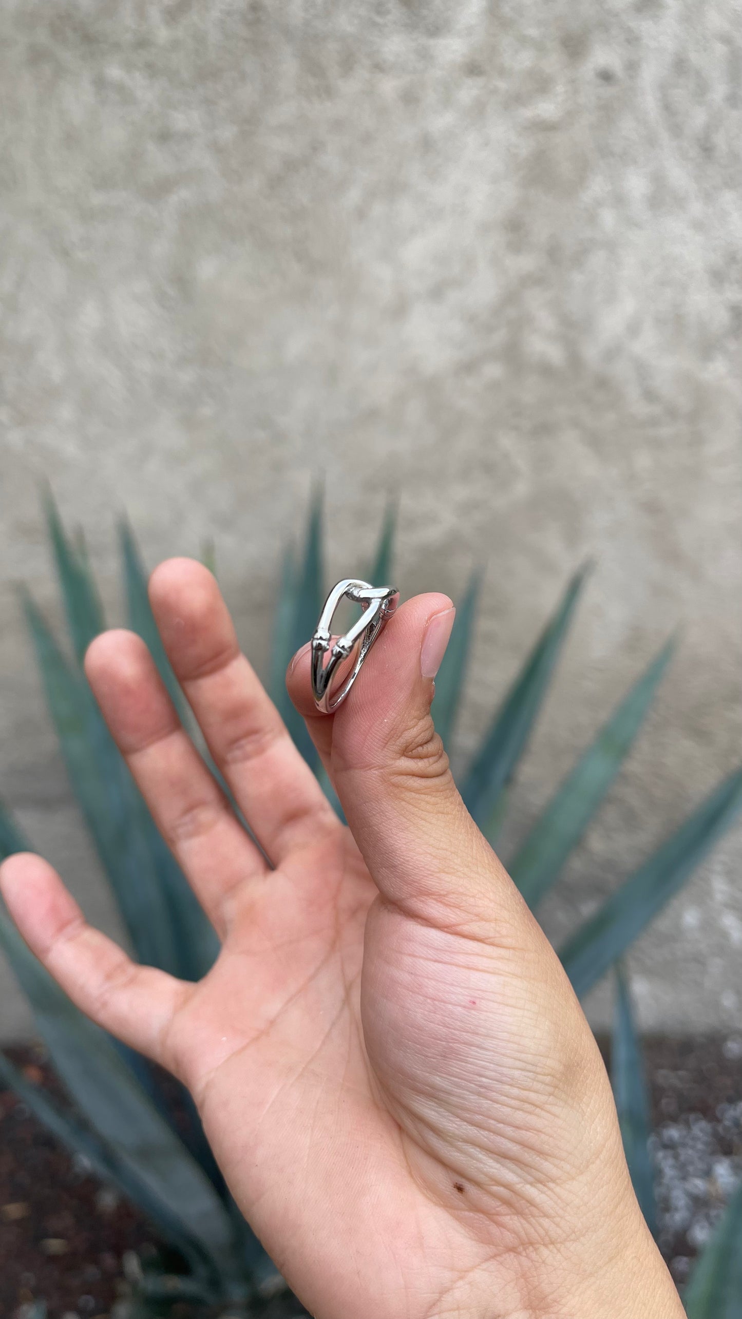 Anillo Nouer