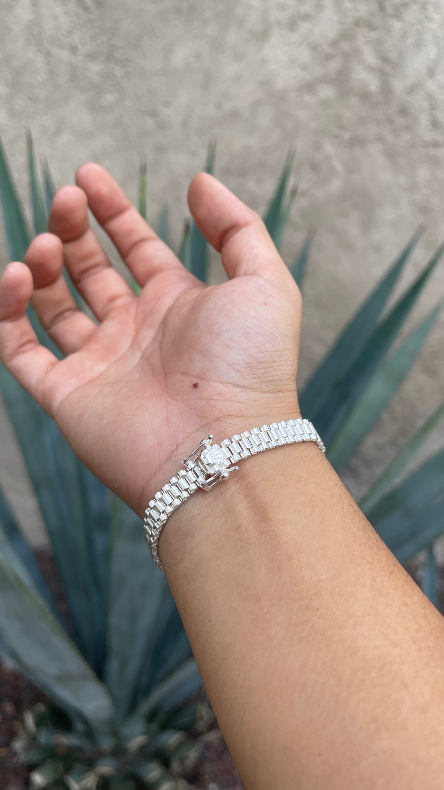 Pulso Corona Plata
