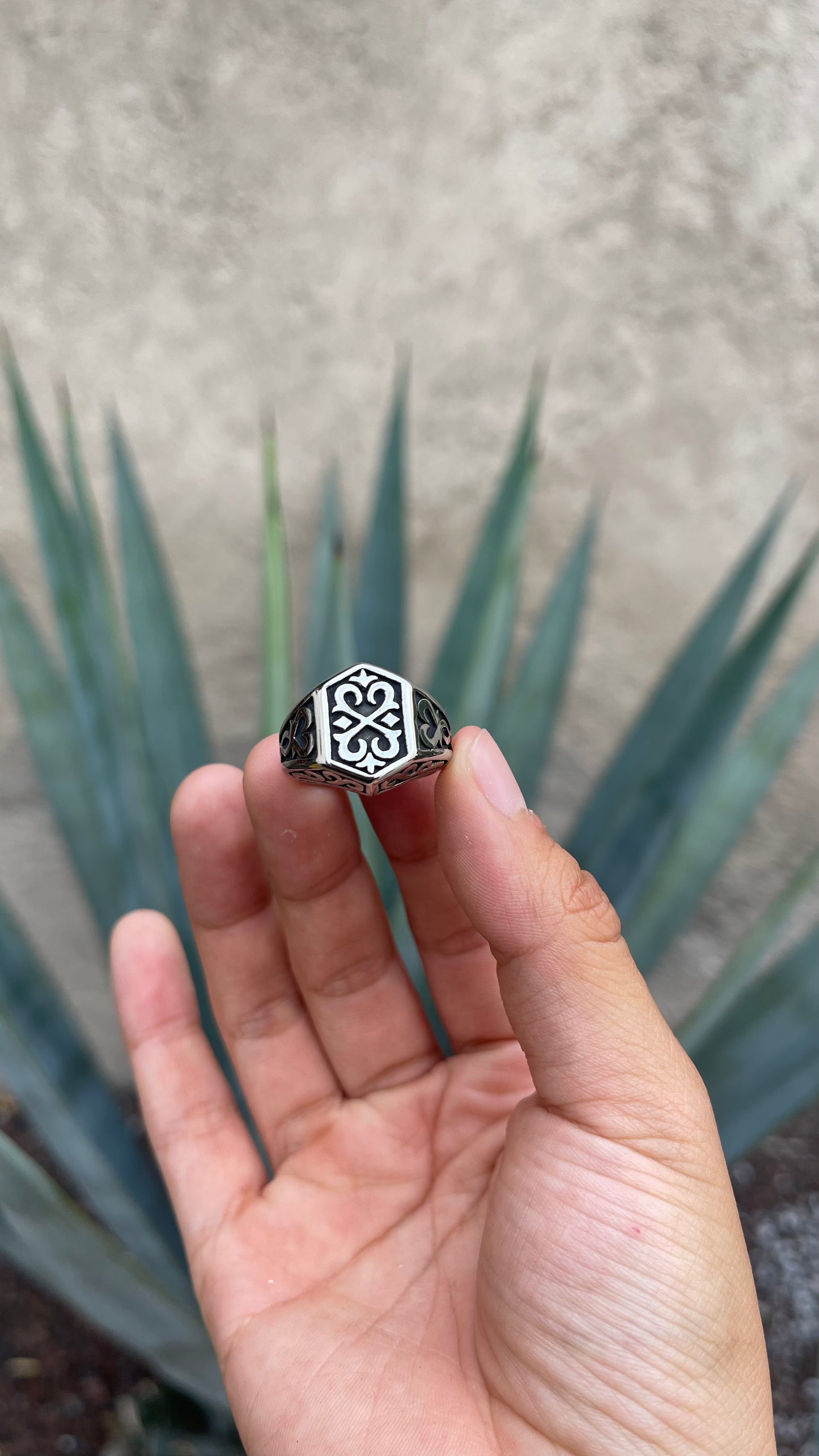 Anillo Vikingo