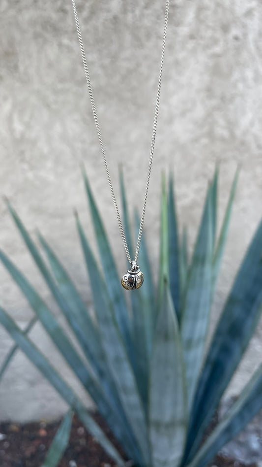 Collar Catarina Plata