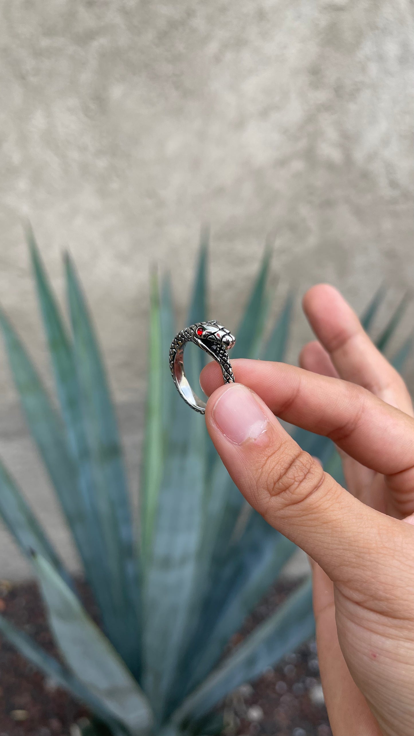 Anillo Rouge