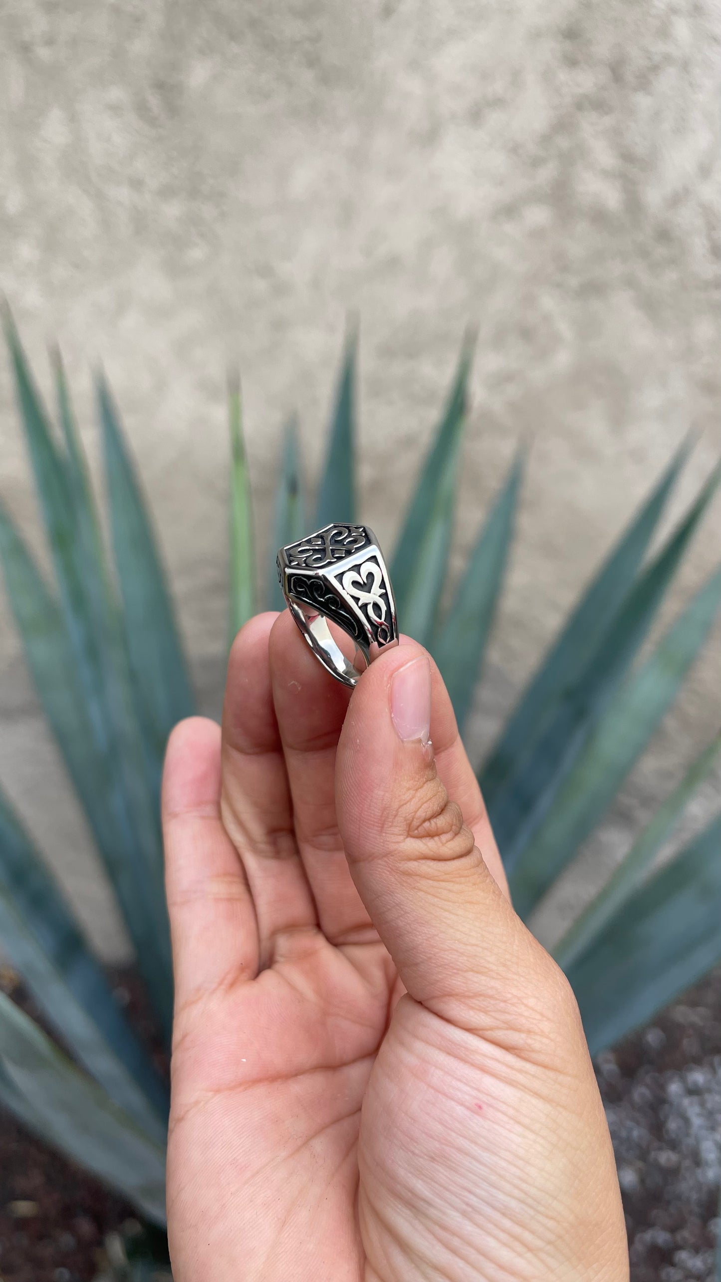 Anillo Vikingo