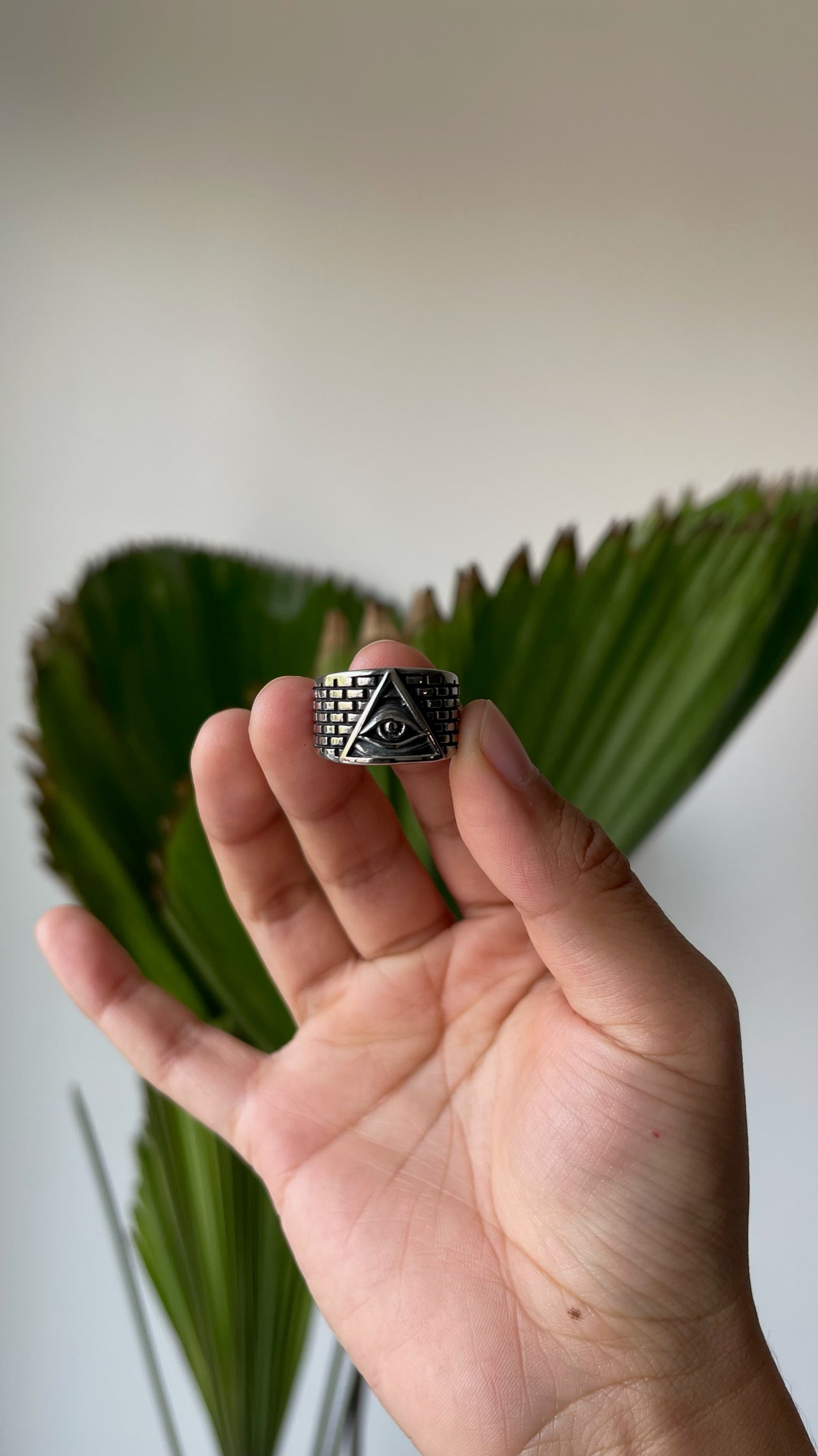 Anillo Ojo